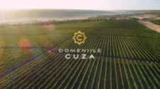 Domeniile Cuza